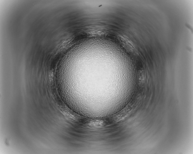 X0000098100369200804181431