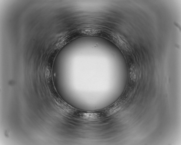X0000098100371200804181431