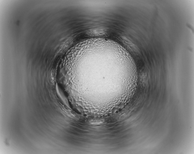 X0000098100373200804181431