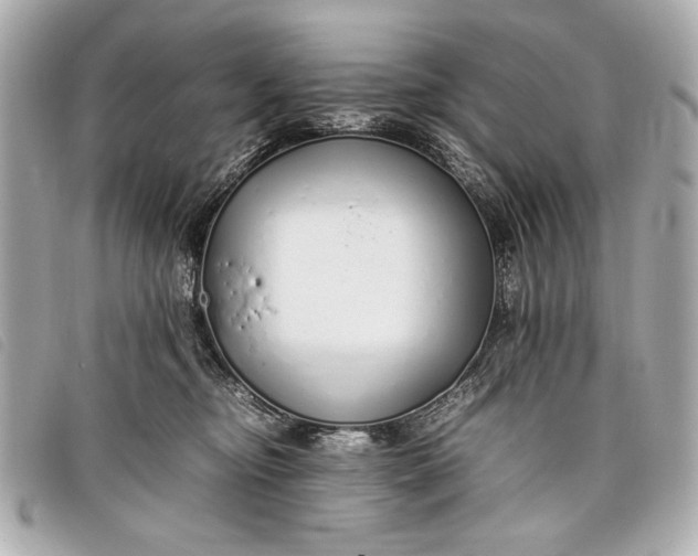 X0000098100374200804181431