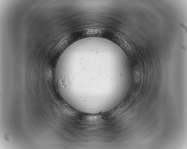 X0000098100375200804181431