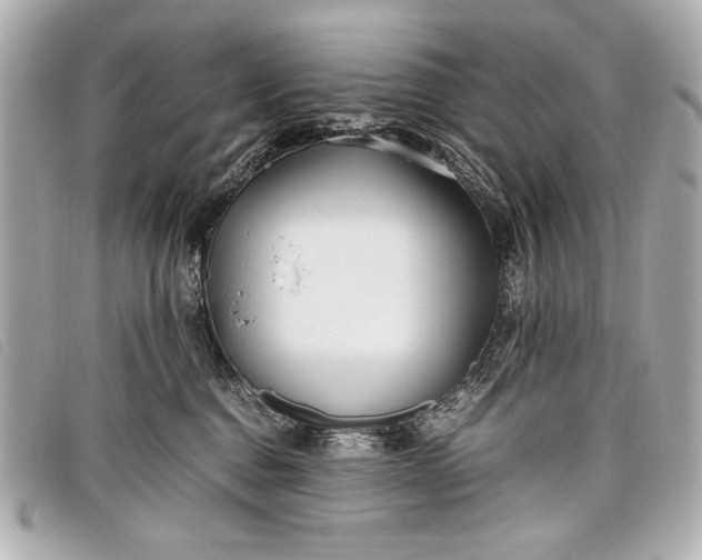 X0000098100376200804181431
