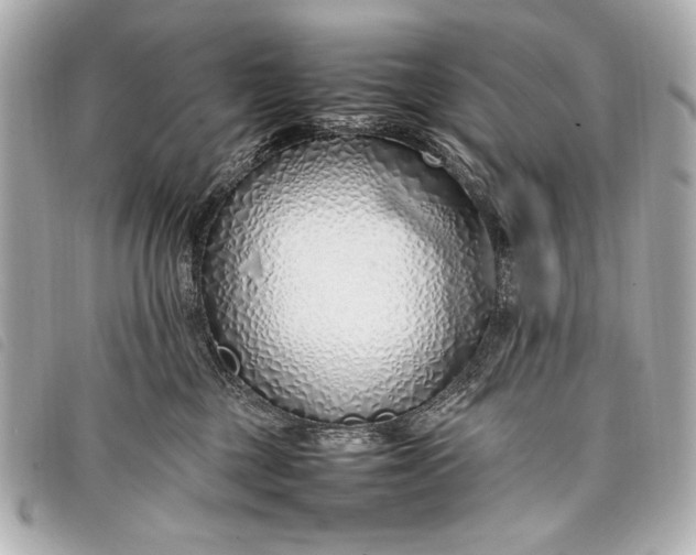 X0000098100377200804181431