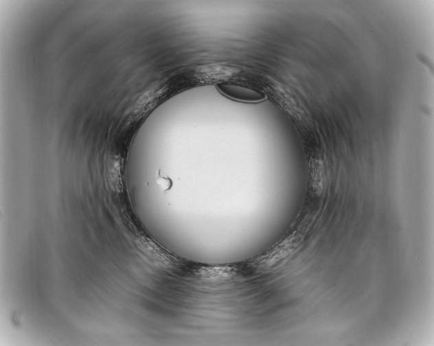 X0000098100378200804181431