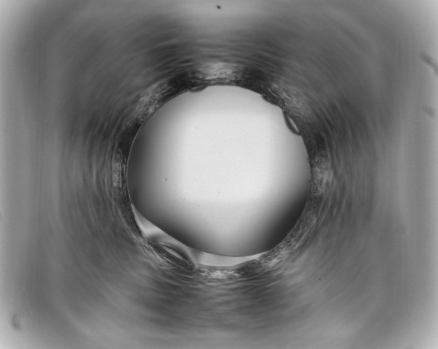 X0000098100379200804181431