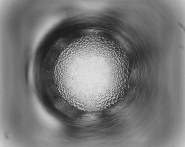X0000098100381200804181431