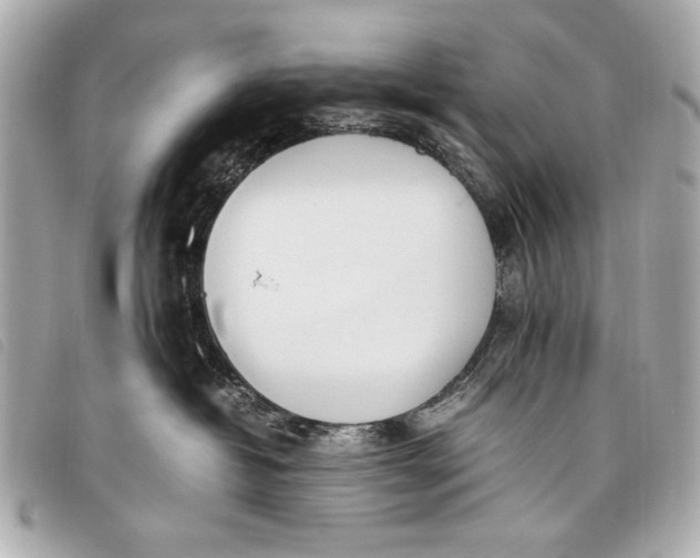 X0000098100382200804181431