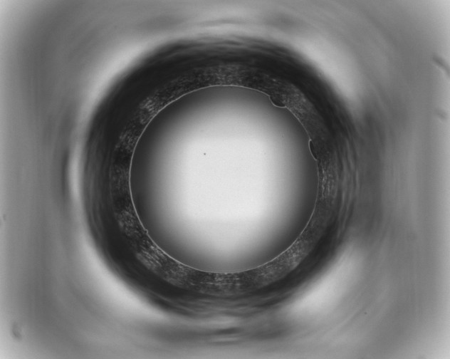 X0000098100383200804181431
