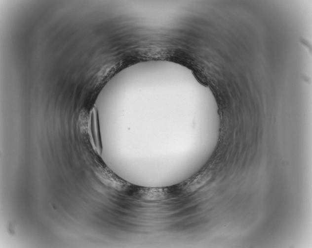 X0000098100384200804181431