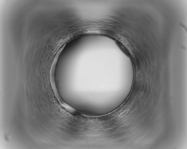X0000098100385200804181430