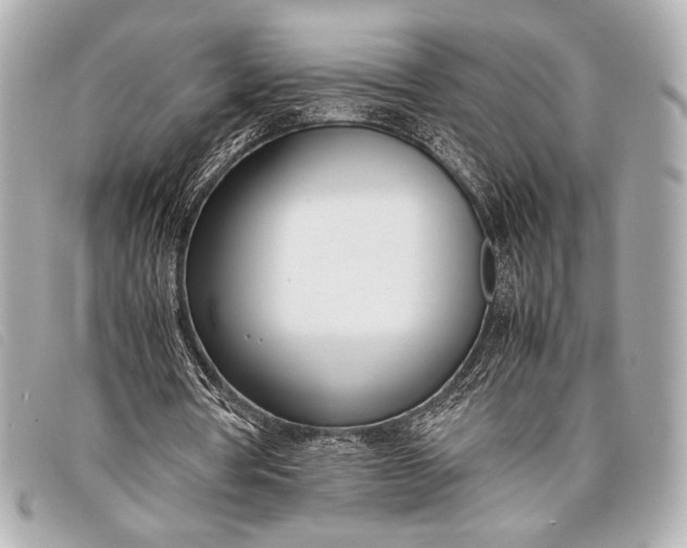 X0000098100386200804181430