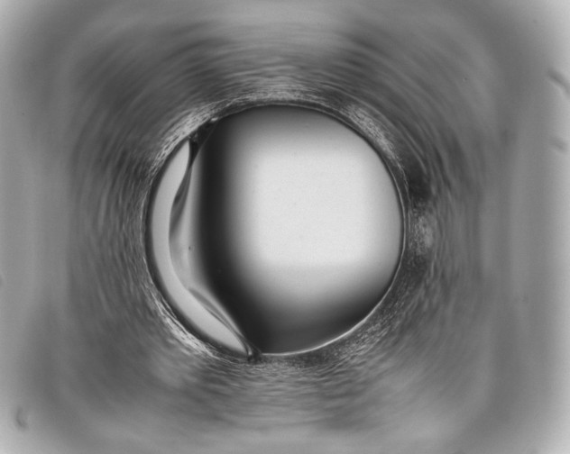 X0000098100389200804181430