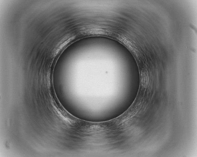 X0000098100390200804181430