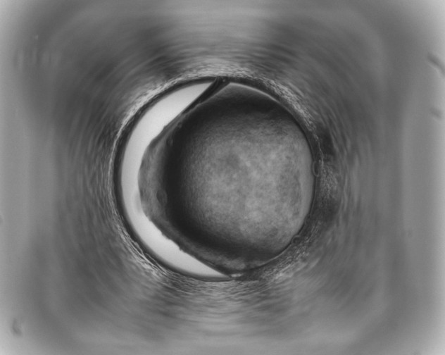 X0000098100391200804181430