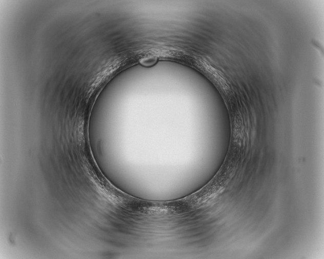X0000098100394200804181430