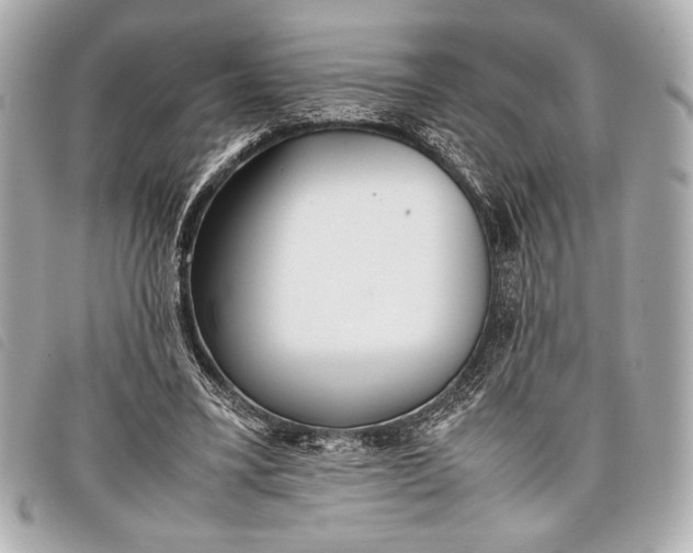 X0000098100395200804181430