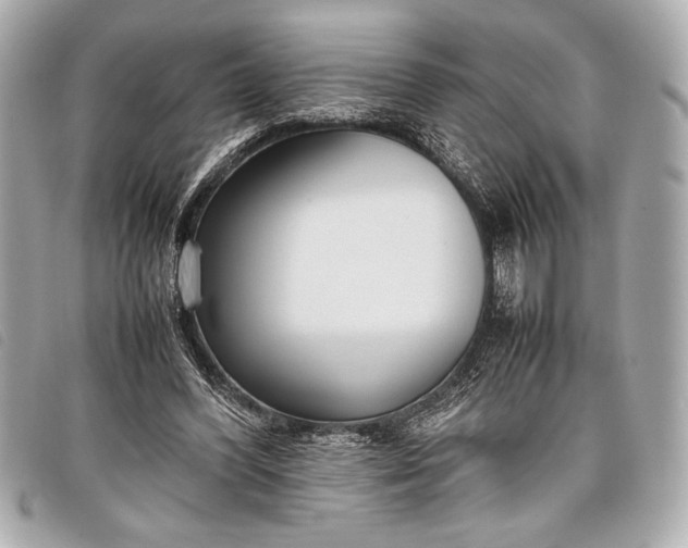 X0000098100396200804181430