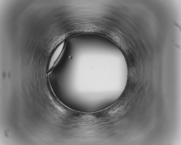 X0000098100397200804181430