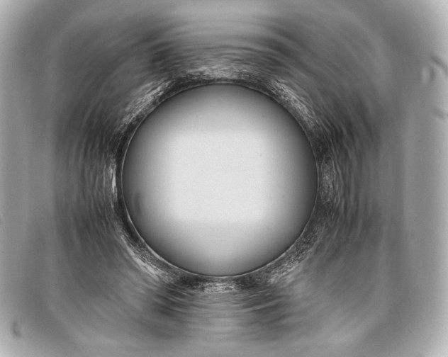 X0000098100398200804181430