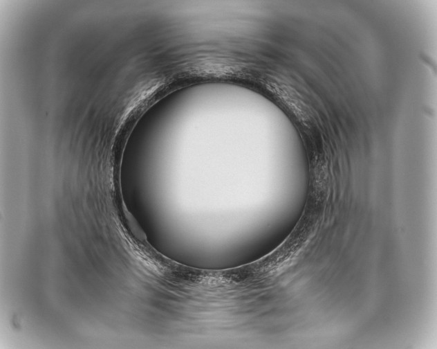 X0000098100399200804181430