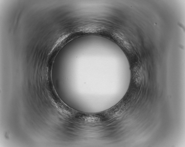 X0000098100400200804181430