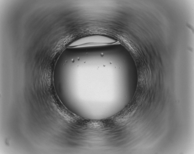 X0000098100402200804181430