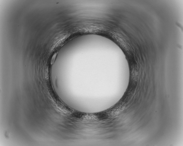 X0000098100403200804181430