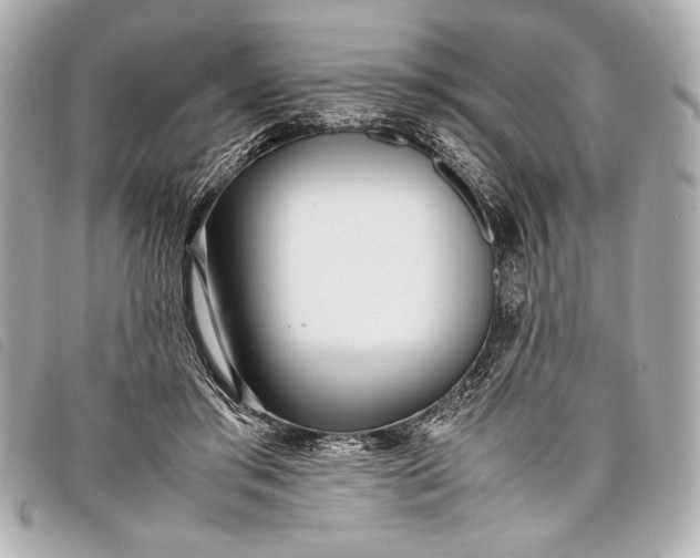 X0000098100405200804181430