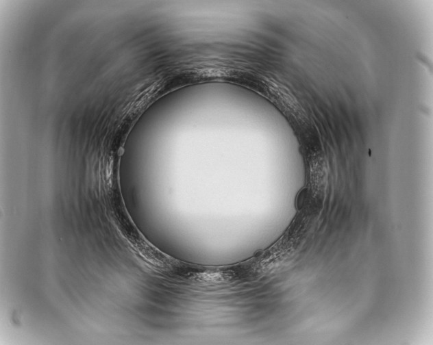X0000098100406200804181430