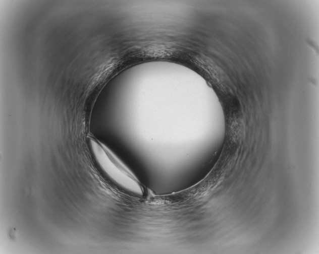 X0000098100407200804181430