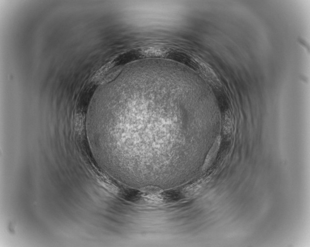 X0000098100409200804181430