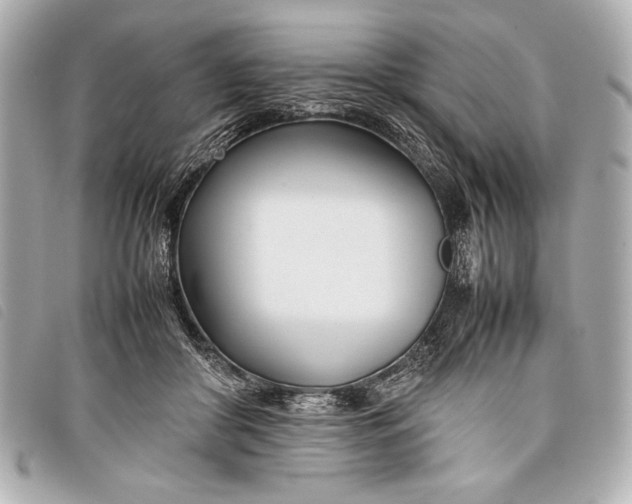 X0000098100410200804181430