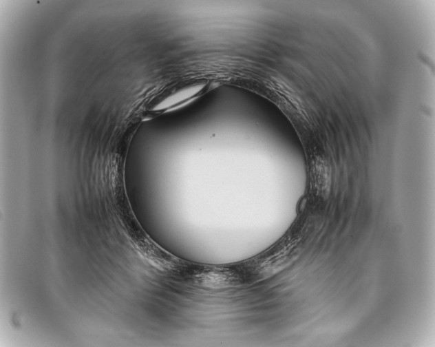 X0000098100412200804181430
