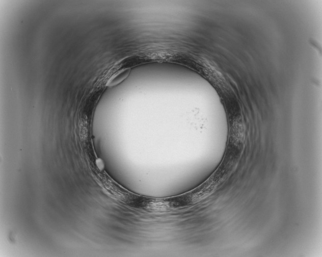 X0000098100413200804181430