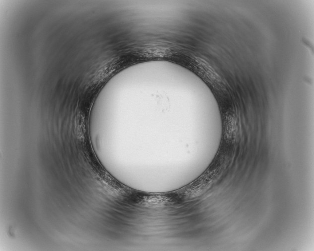 X0000098100414200804181430