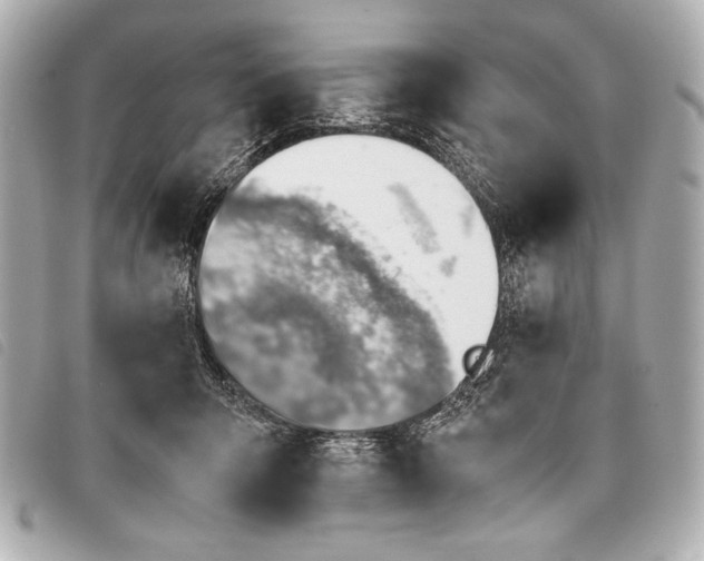 X0000098100415200804181430