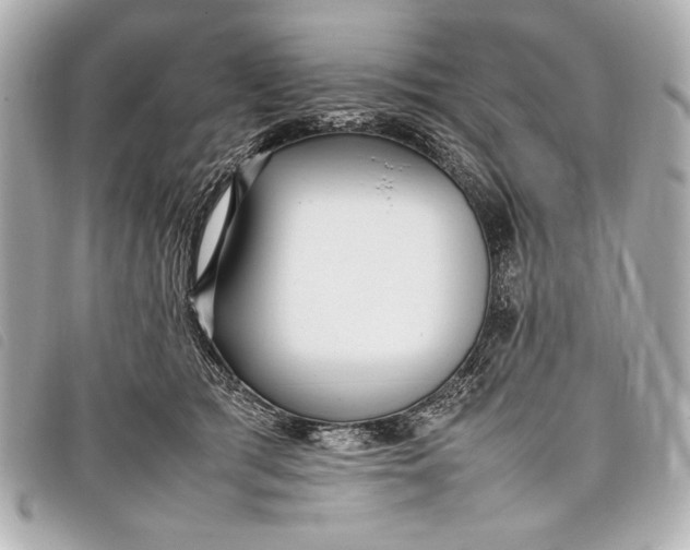 X0000098100417200804181430
