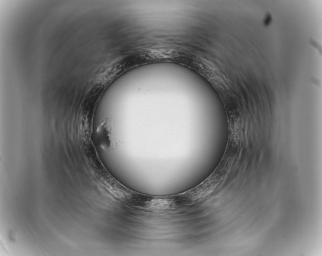 X0000098100418200804181430