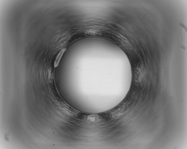 X0000098100420200804181430