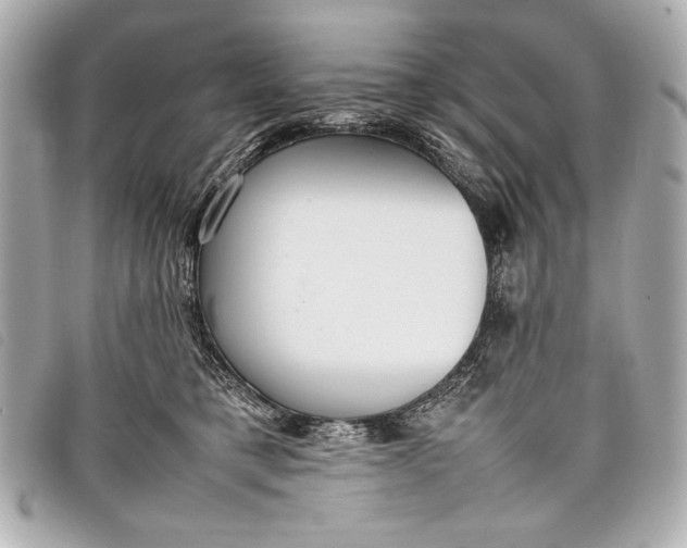 X0000098100421200804181430