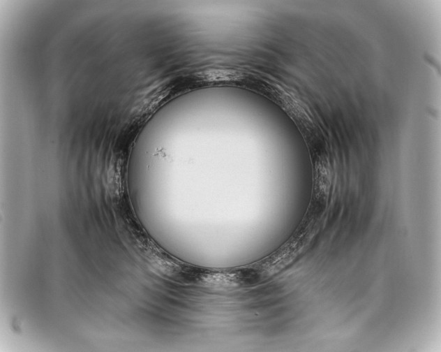 X0000098100422200804181430