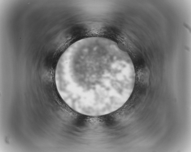 X0000098100423200804181430