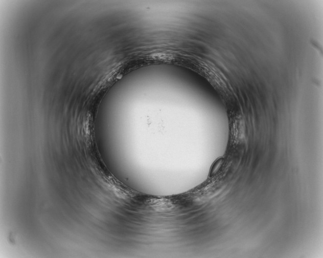 X0000098100424200804181430
