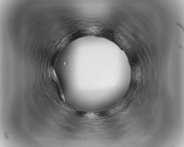 X0000098100425200804181430