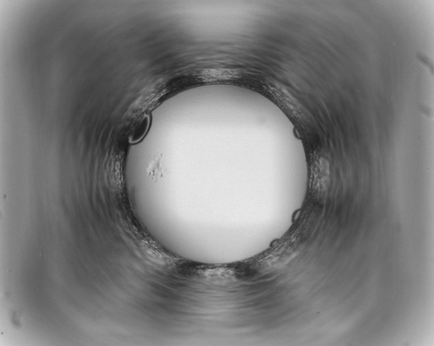 X0000098100426200804181430