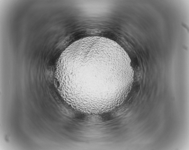 X0000098100427200804181430