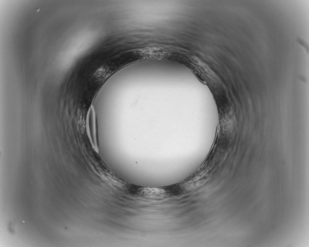 X0000098100429200804181430