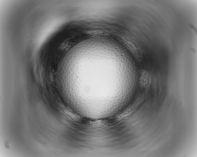 X0000098100430200804181430