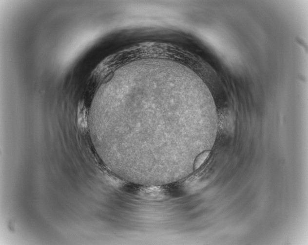 X0000098100431200804181430