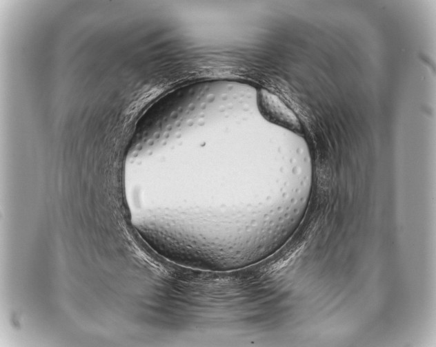 X0000098100433200804181429